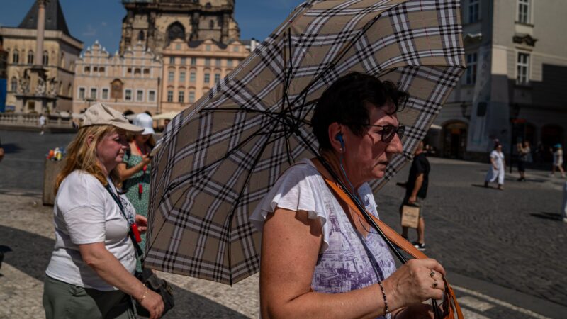 Over 1,300 dead in Europe heatwave as Germany hits record 41.7°C