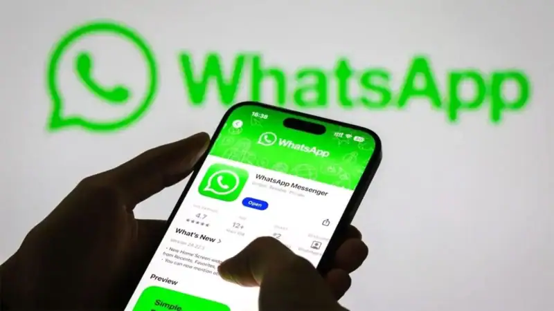 Now you can replace phone numbers with usernames on WhatsApp