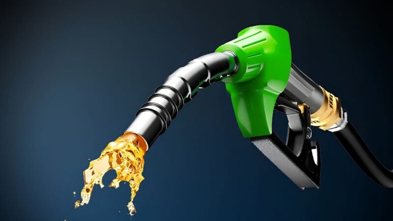 Govt considers daily fuel price revisions, petrol pump owners oppose proposal