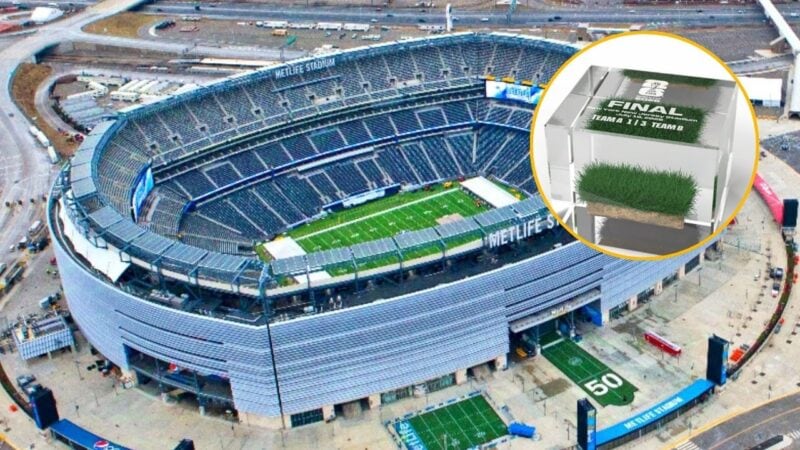 FIFA to sell pieces of World Cup final turf for $450 to $3,000, set to earn millions