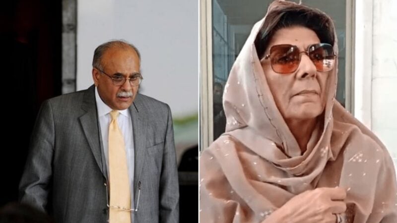 Aleema Khan is going to jail in Nov 26 protests case, predicts Najam Sethi