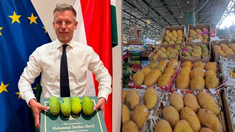 ‘Only a handful left’: Hungarian PM says can’t keep his hands off Pakistani mangoes gifted by PM Shehbaz