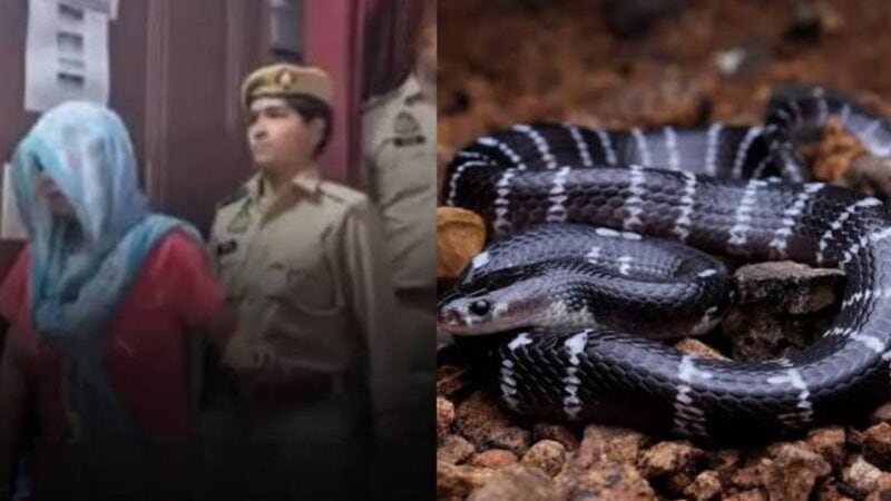 Indian woman held for helping lover kill her husband by snakebite