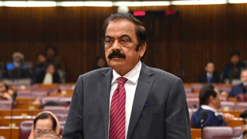 ‘Trained militants’: Rana Sanaullah on ‘armed’ Azad Kashmir protesters challenging writ of state