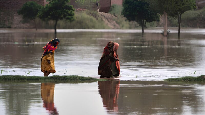 Chenab River likely to enter high flood level as heavy rains continue: PMD