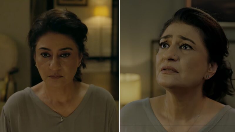 ‘Who killed Dr Farheen?’: Netizens pour love as Saba Hameed departs from hit ongoing serial Dr Bahu