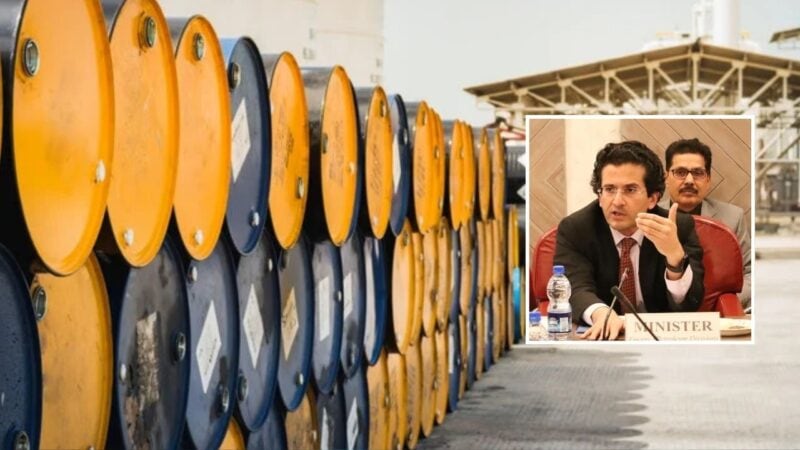 Crude oil reserves covered for a month: petroleum minister