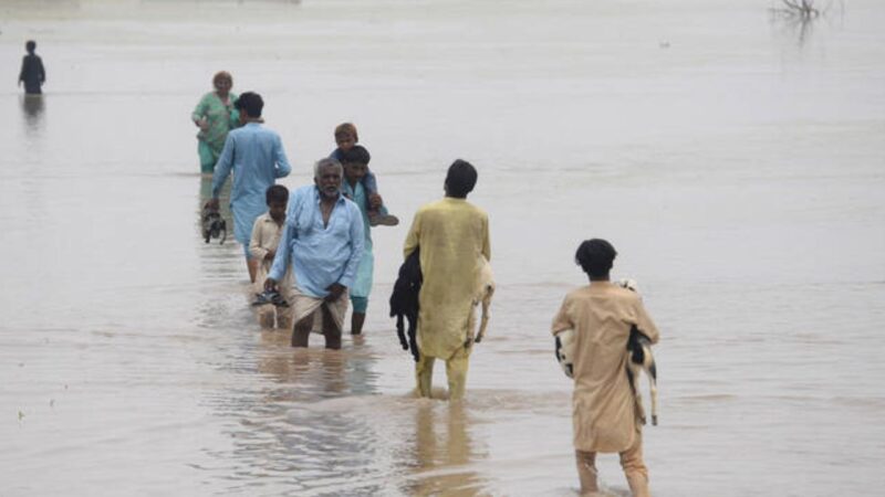 Three killed as monsoon rains trigger urban flooding across Punjab