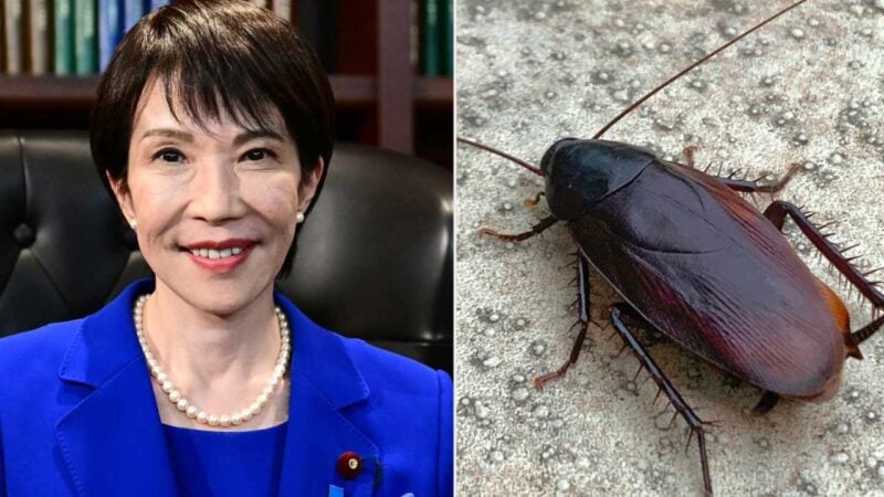 Japan PM felt ‘lonely, sad’ when cockroach living at official residence was removed