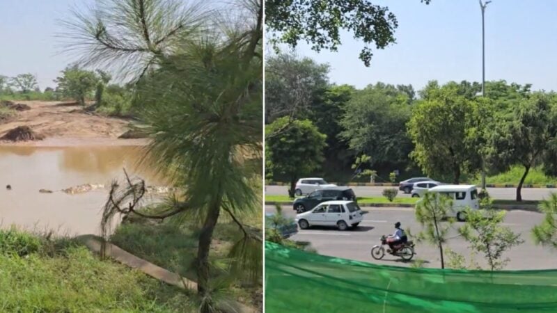 ‘Karachi in the making’: Outrage erupts as Srinagar Highway trees cleared ‘for petrol pump construction’
