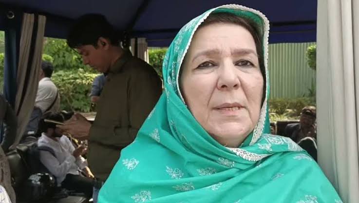 Noreen Niazi trolled for claiming schools in Europe, Canada have added ‘PML-N, PPP corruption records’ to curriculum