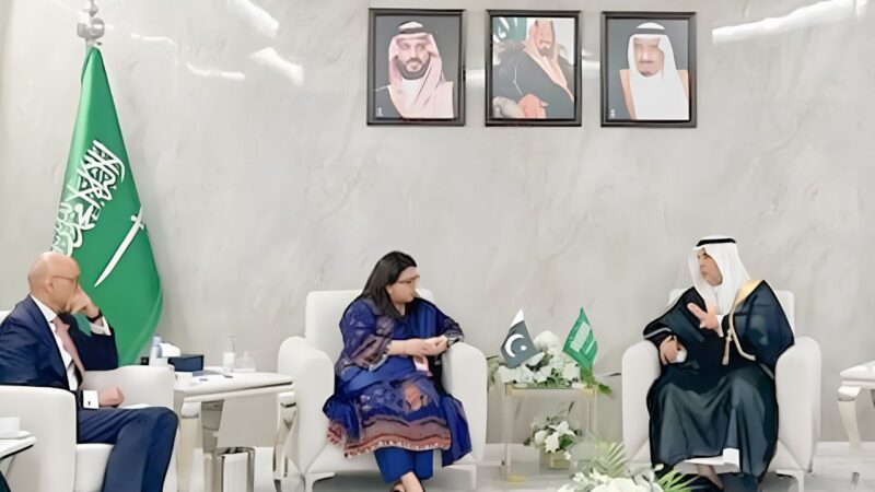 Pakistan developing national digital stack to accelerate digital transformation: Shaza Fatima