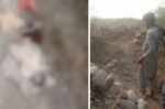 Man arrested in Peshawar for digging up children’s graves, desecrating bodies