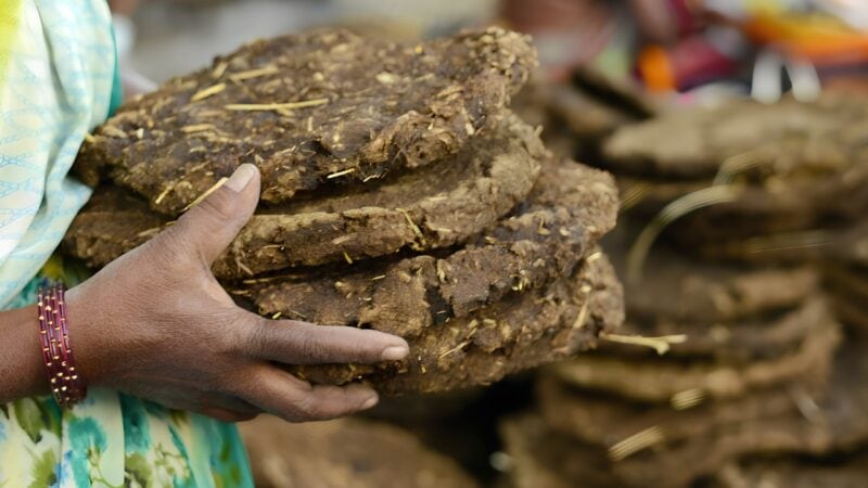 Man arrested for mixing cow dung powder into teachers’ food after school fired wife