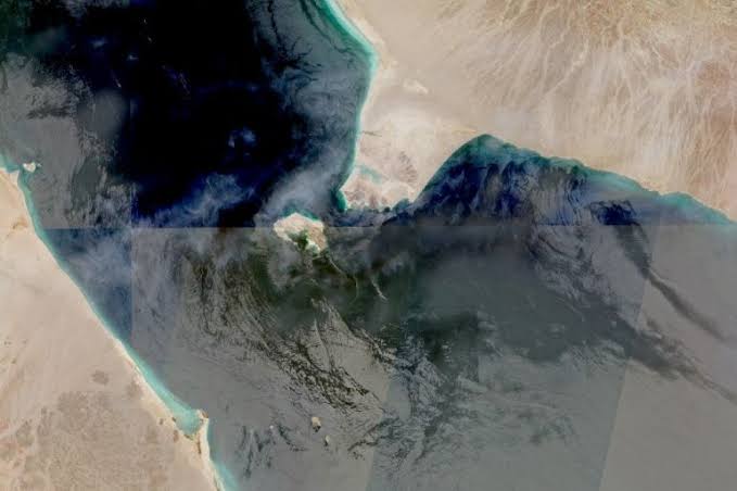 Houthis take control of Yemen’s entire Red Sea coast