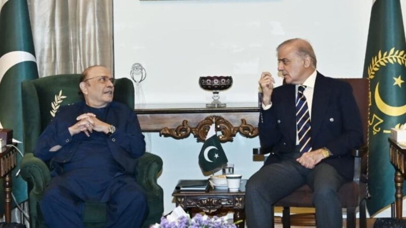 Govt, PPP form joint delegation for talks with PTI